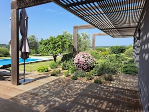 La terrasse et le jardin avec ses plantes méditerranéennes