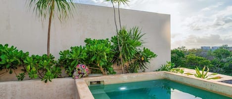 Private rooftop plunge pool