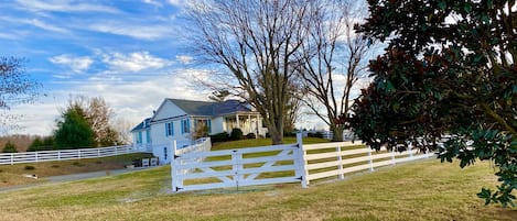 The view as you pull in the private driveway to your “Suite”.