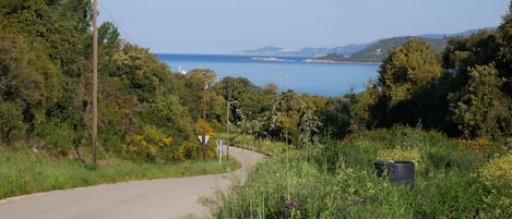 Vue sur le Golfe de la Liscia