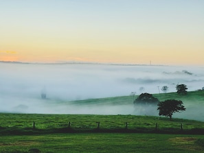 Misty Morning View