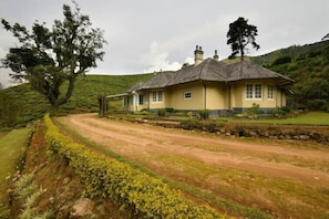 Exteriör