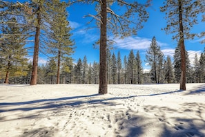 Snow and ski sports