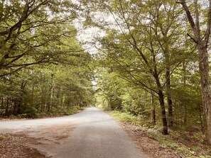 Walk/bike trail next to the house 
