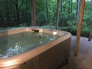 Secluded Hot Springs Prodigy hot tub with beautiful forest views 