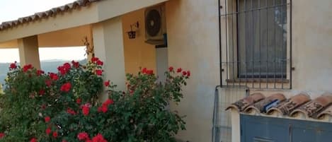 DĂ©tail de lâextĂ©rieur