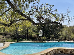 Pool in the backyard