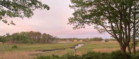 View from back of the house and low tide 