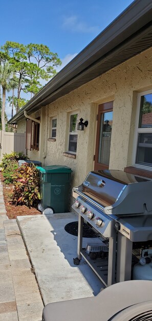 Grill and back door