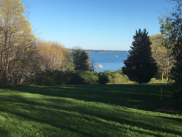 View from back of house
