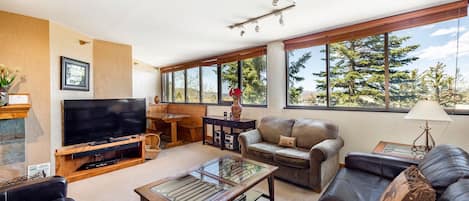 Living Room with a Sleeper Sofa