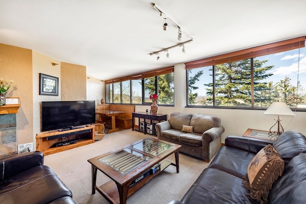 Living Room with a Sleeper Sofa