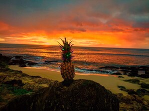 The tide pools 