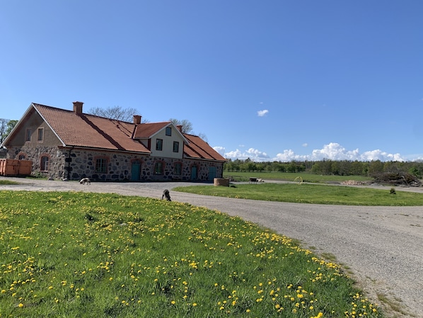Exteriör