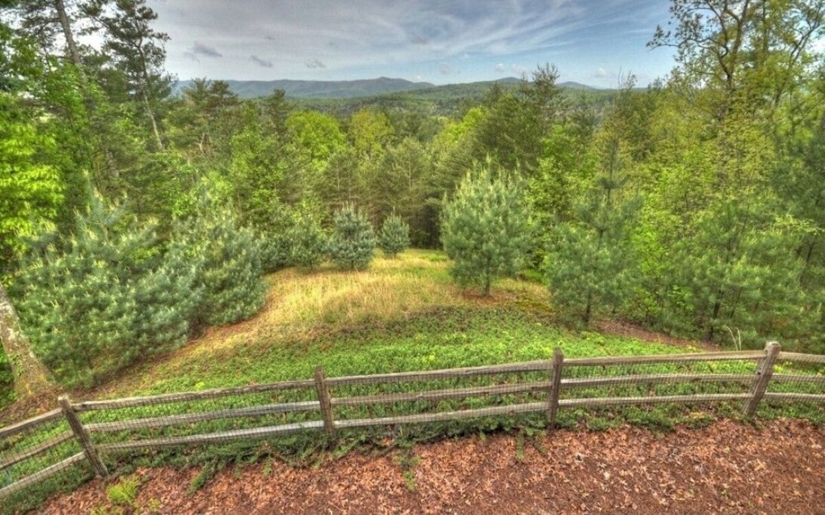 Amazing Panoramic Views, Video Tour, Hot Tub, 10 mins to Blue Ridge!