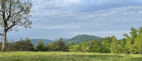 Terrain de l’hébergement 