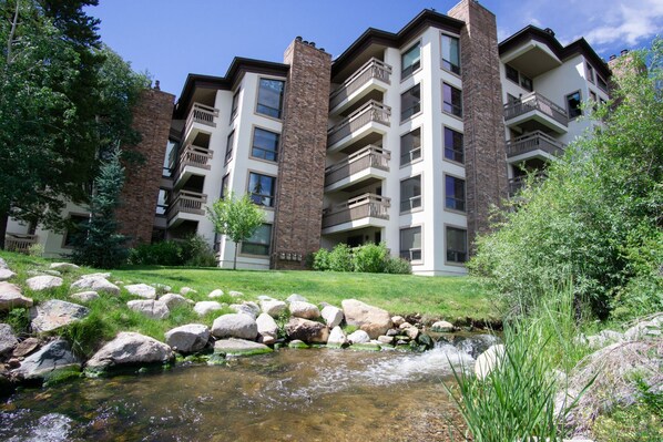 Burgess Creek & the Condo