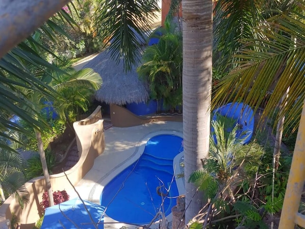 Shared pool with Casa Siete Palmas and Casita La Palmita