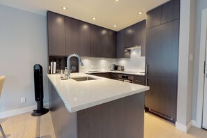 Modern fully equipped kitchen, overlooking dining and lounge area.