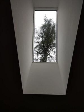 Wanderlust main bathroom skylight