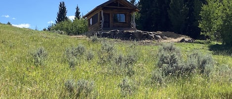 Fire tower trappers cabin grass