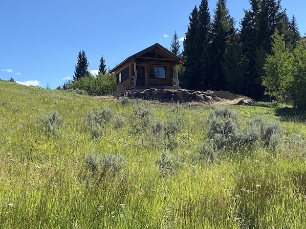 Fire tower trappers cabin grass