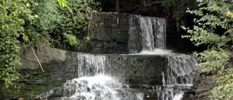 Williams Glen Falls