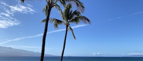 Watch and listen to calming sounds of the ocean surf from the lanai