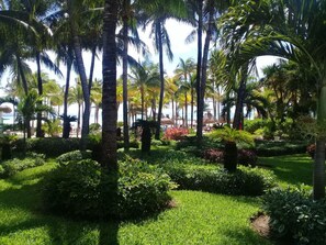 Property grounds