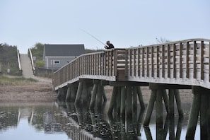 Ogunquit River Footbridge Fishing