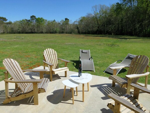 Plant, Table, Furniture, Property, Sky, Plant Community, Outdoor Table, Chair, Tree, Nature