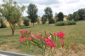 Gartenblick
