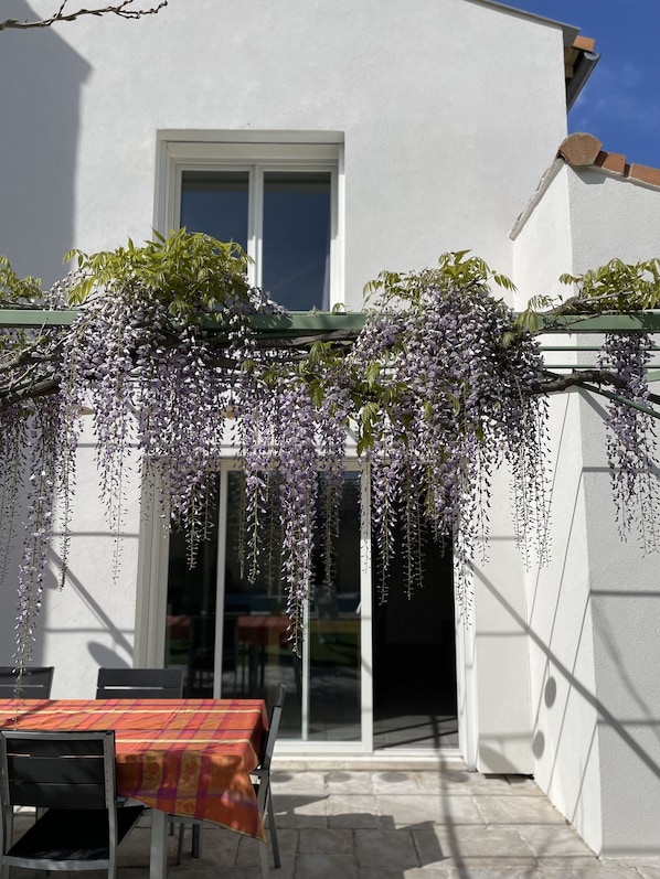 Terrasse côté sud. L’été une toile est ajoutée sur la pergola.