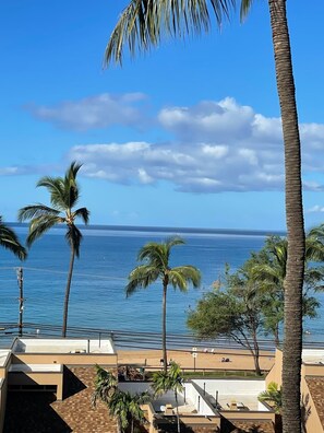 View from lanai