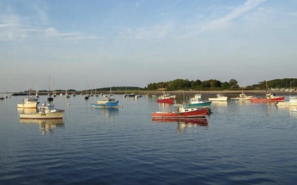 Our house, with views, is one block from this amazing harbor. 