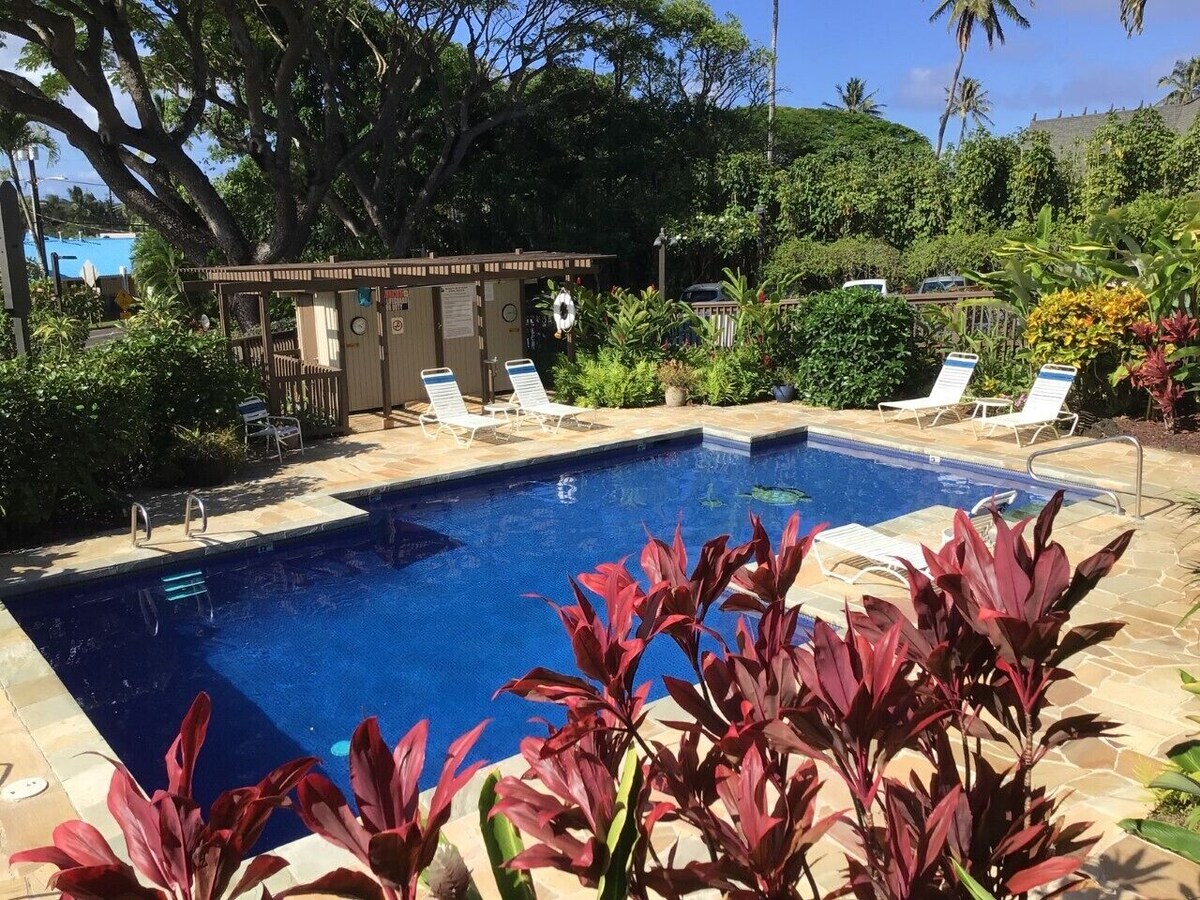 Stunning Oceanfront Kauai Condo for Two!