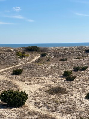 Spiaggia