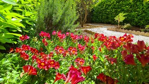 Jardin de 50m² avec fleurs et plantes aromatiques