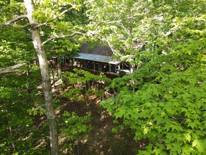 Our quaint home is hidden within the trees of Bills Mountain. 