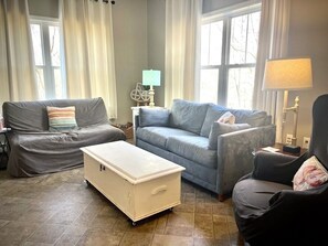 Family room with fold out sofa