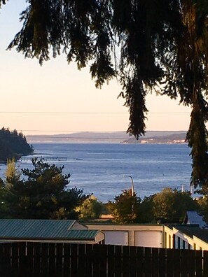 view from the cottage deck---Holmes Harbor