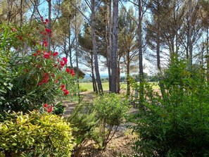 Vue de la terrasse