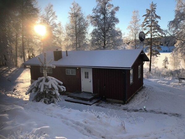 Exteriör