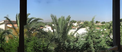 Panorama