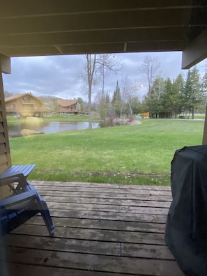 View from bedroom of quiet spacious backyard w/ large grassy area, pond + grill