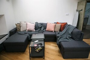 Comfortable large sofa bed