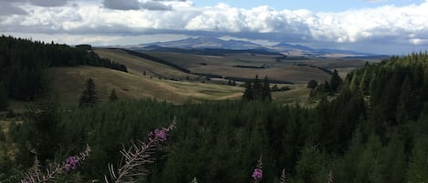 Terrain de l’hébergement 