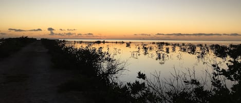 View looking out over the water