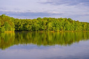 Järvi