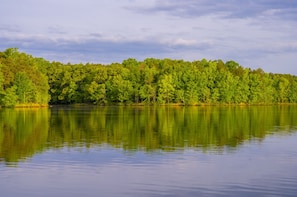Lago